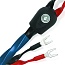 Oasis 8 Speaker Cable 2.5м