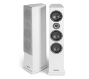 DS-631 WT