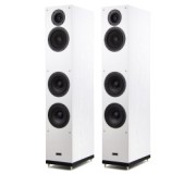 Gamma 3.03, white ash