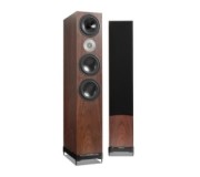 D9.2 walnut