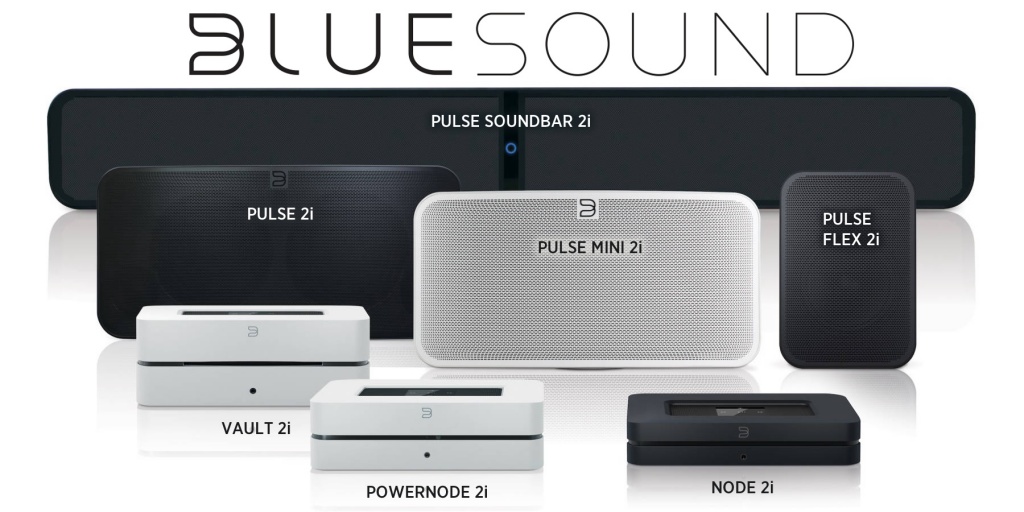 bluesound family.jpg