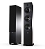 Tesi 6, black