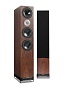 D9.2 walnut