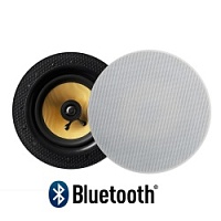 LBT2 Ceiling Speaker Active+Passive