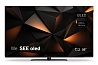 We. SEE 55 OLED